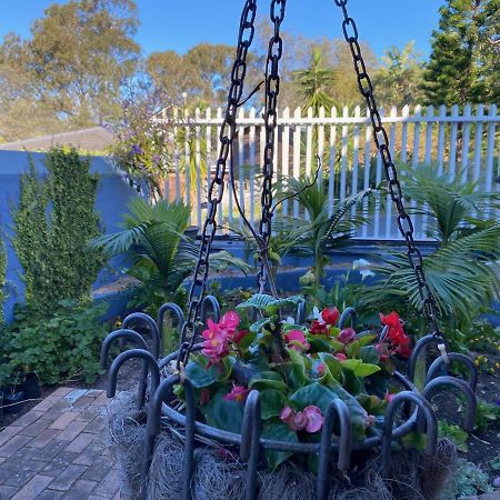 Self Catering Luke Drive Onrus Appartement Hermanus Buitenkant foto